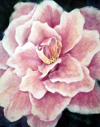 Big Camellia Big Camellia