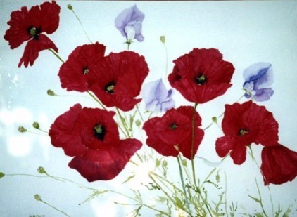 Red Poppies & Sweet Peas (sold) Red Poppies & Sweet Peas (sold)