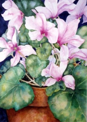 Hot Cyclamen (sold)