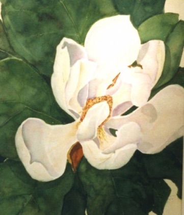 Magnolia #1 (sold)