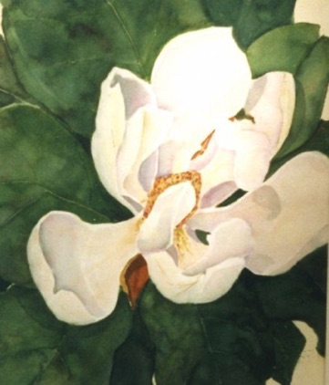 Magnolia #1 (sold) Magnolia #1 (sold)
