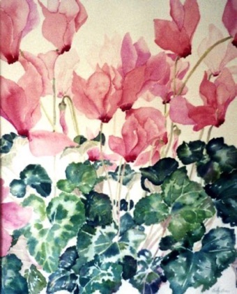 Cyclamen #1 Cyclamen #1
