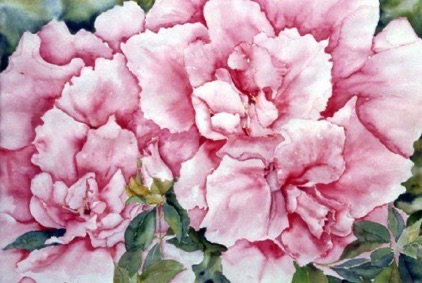 Azalea #1 (sold) Azalea #1 (sold)