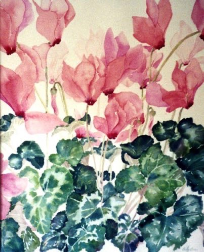 Cyclamen #1 Cyclamen #1