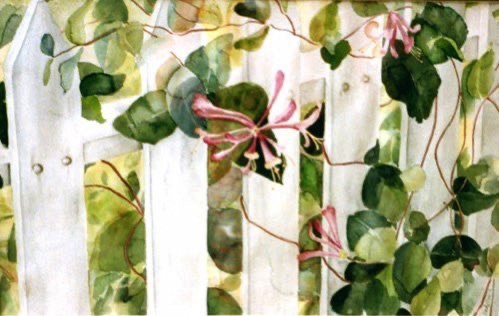 Honeysuckle (sold) Honeysuckle (sold)