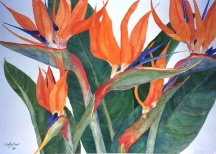 Marguerite’s Birds of Paradise (sold)