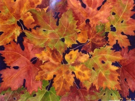 Autumn Grape Leaves
22x30