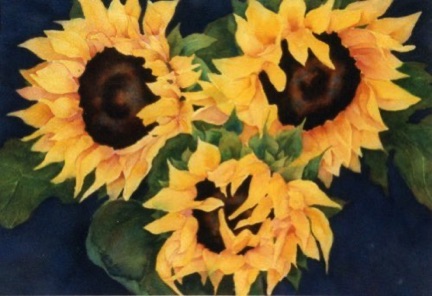 Sara’s Sunflowers (gift)