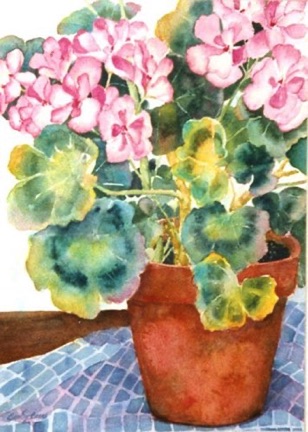 Sr. Paul’s Geranium (gift) Sr. Paul’s Geranium (gift)
