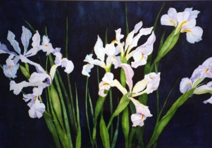 Midnight Iris (sold)