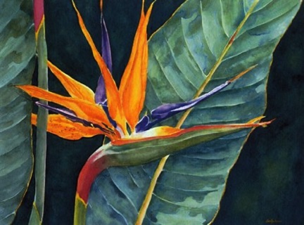 Bird Of Paradise  (sold)