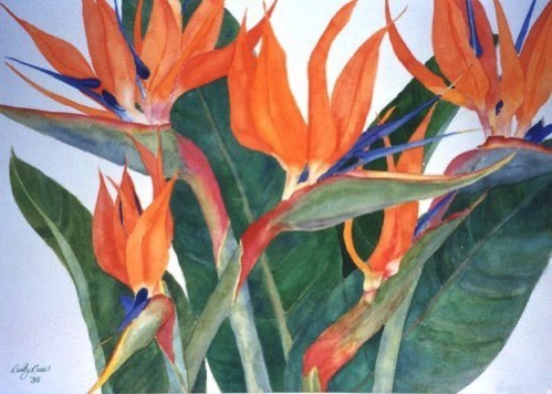 Marguerite’s Birds of Paradise (sold) Marguerite’s Birds of Paradise (sold)