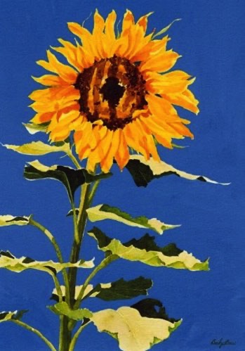 Sonoma Sunflower  (sold)