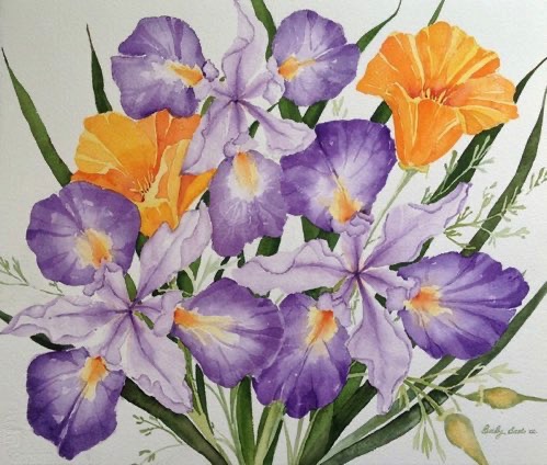 Douglas Iris & California Poppies