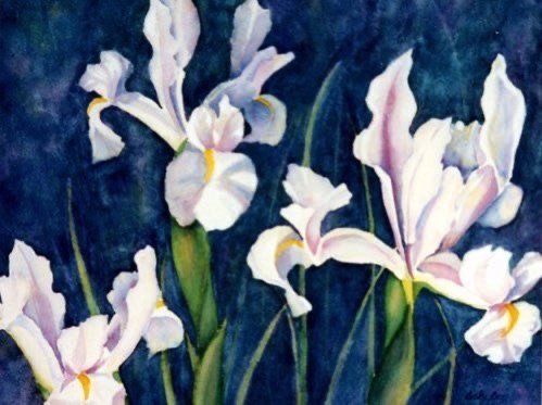 Ruth’s Dutch Iris (sold)