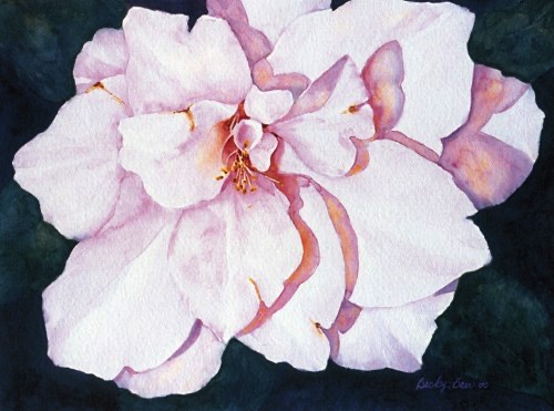 Camellia (prints only)