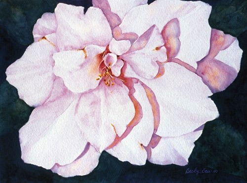 Camellia (prints only) Camellia (prints only)