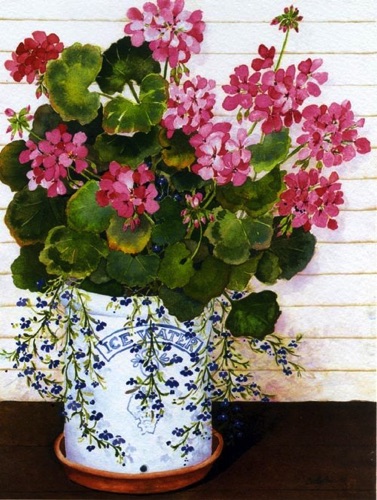 Jo’s Geraniums
(prints only) Jo’s Geraniums
(prints only)