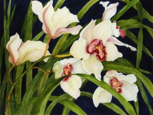 Cymbidium #4 (prints only)