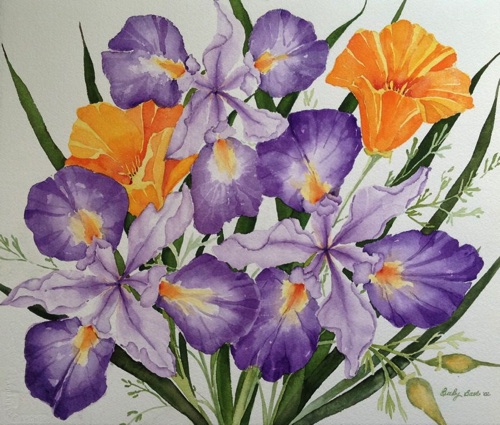 Douglas Iris & California Poppies
(prints only)