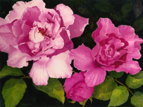 McCartneyRoses
(prints & cards)