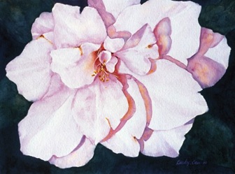 Camellia (prints only) Camellia (prints only)