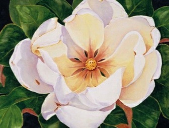 Magnolia #3 (cards)