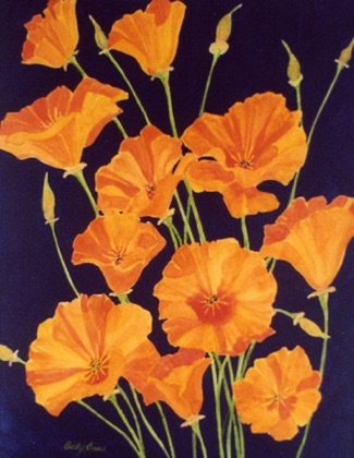 California Poppies (sold)