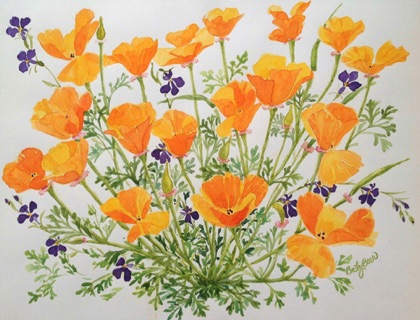 California Poppies #3 (sold)