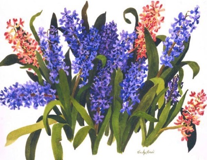 Hyacinths 18x24 Hyacinths 18x24