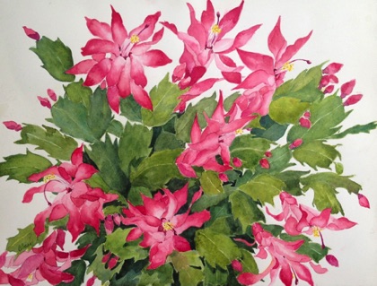 Christmas Cactus 12x16