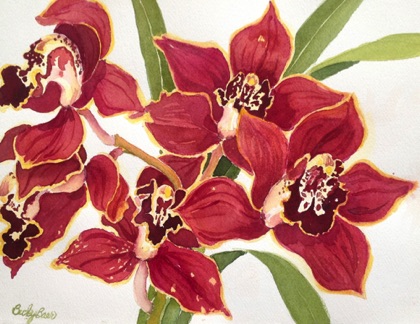 Burgundy Cymbidiums