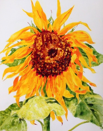 Sunflower #3
14x11  (sold)