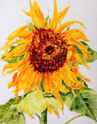 Sunflower #3
14x11 (sold) Sunflower #3
14x11 (sold)