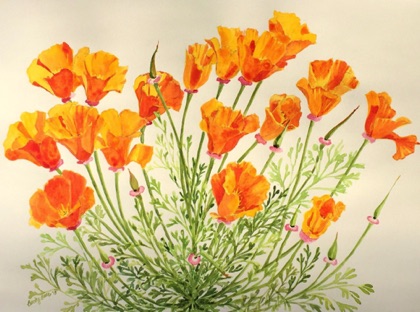 California Poppies #5
12x16  (sold)