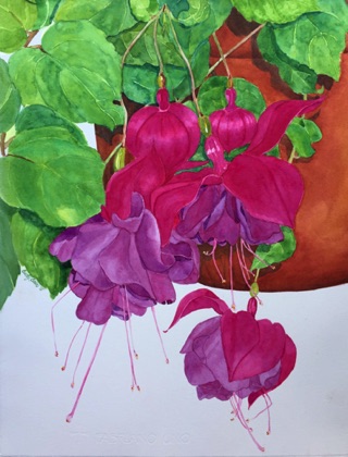 Fuchsias #2
18x14 Fuchsias #2
18x14