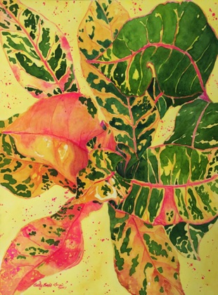 Lana’i Crotons 16x12 Lana’i Crotons 16x12