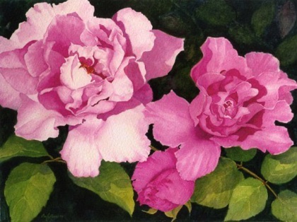 McCartney Roses (sold) McCartney Roses (sold)