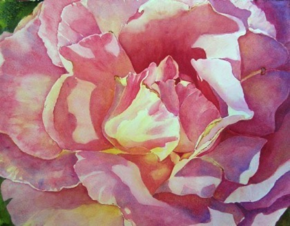 Rose #4 Rose #4