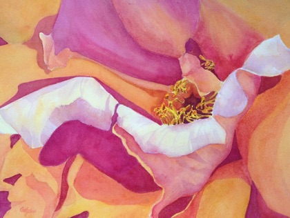 Rose #6 12x16 Rose #6 12x16