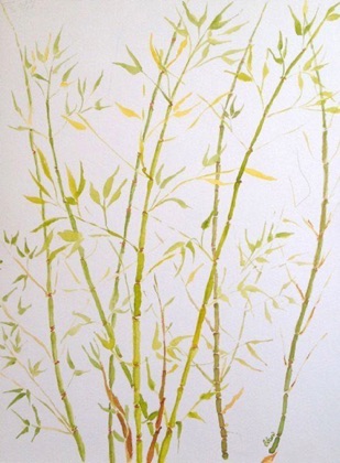 Golden Bamboo (sold)
