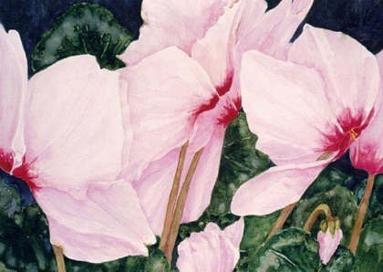 Cyclamen
18x24 Cyclamen
18x24