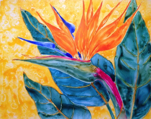 Bird of Paradise #4
11”x14”