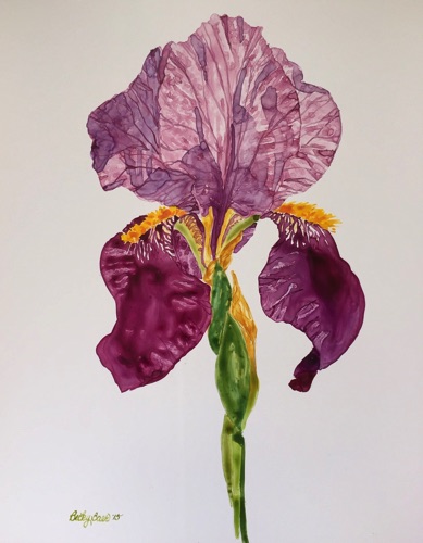 Iris
14x11   (sold)