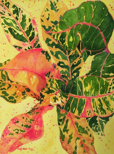 Lana’i Crotons 16x12 Lana’i Crotons 16x12