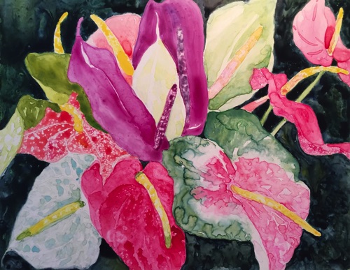Maui Anthuriums (gift) 11x14 Maui Anthuriums (gift) 11x14