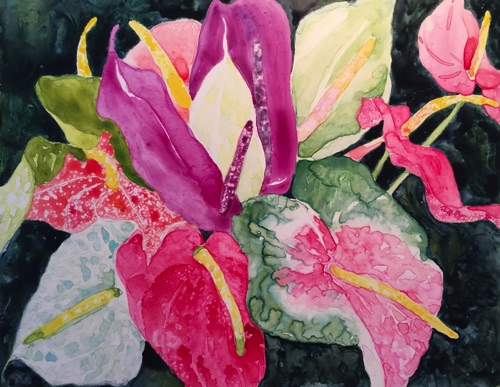 Maui Anthuriums (gift) 11x14