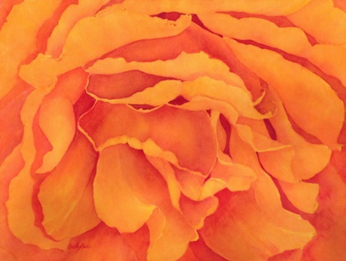 Rose #5 18x24 Rose #5 18x24