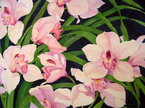 Cymbidium 5 (sold) Cymbidium 5 (sold)