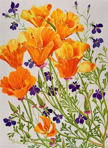 California Poppies & Lobelia 16 x 12 California Poppies & Lobelia 16 x 12